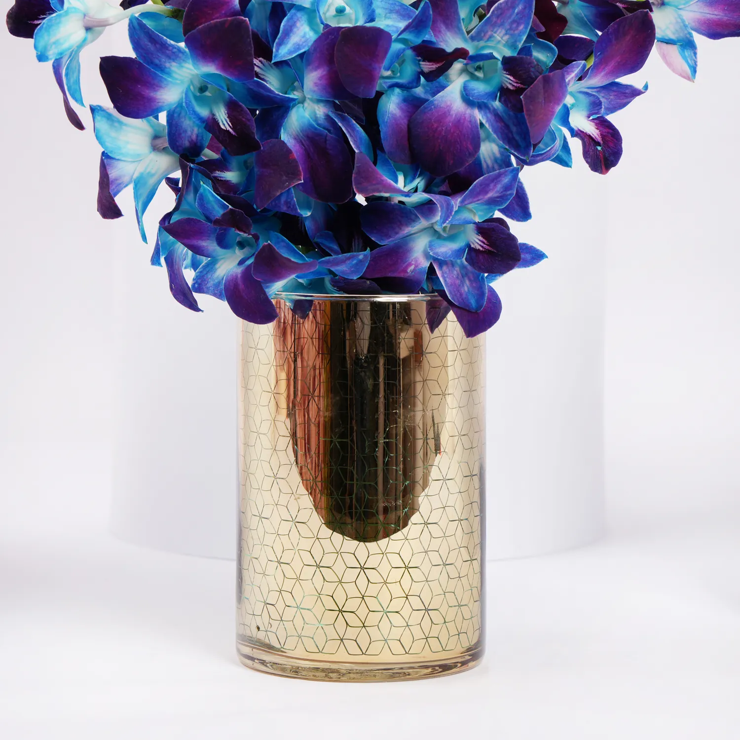 mesmerizing-blue-orchids_2
