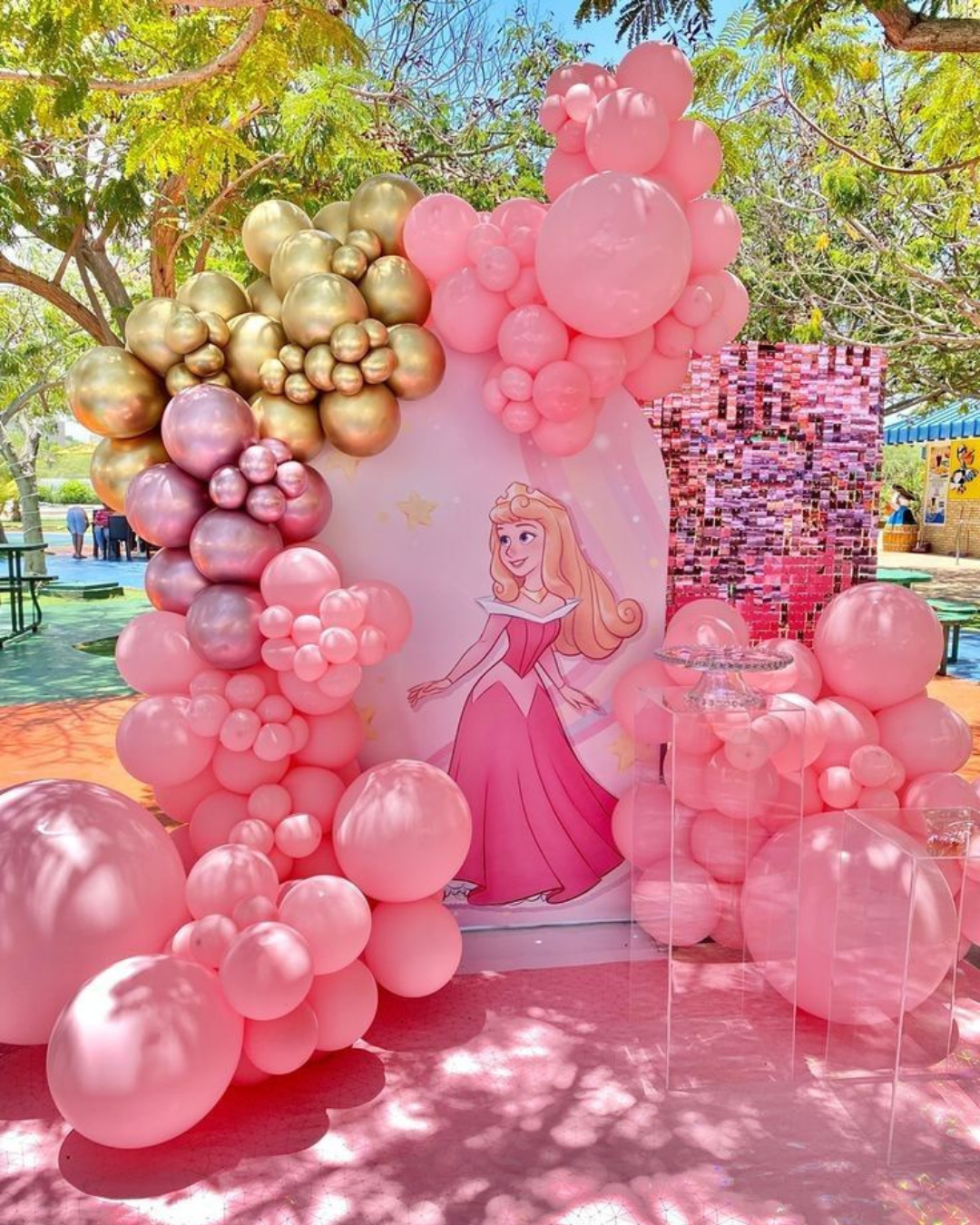 Princess birthday surprise