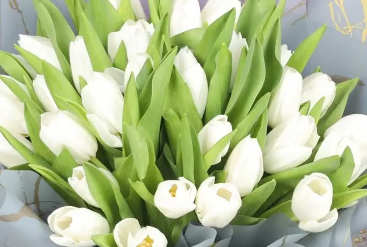 Tulips bouquet in Dubai fresh elegant flowers